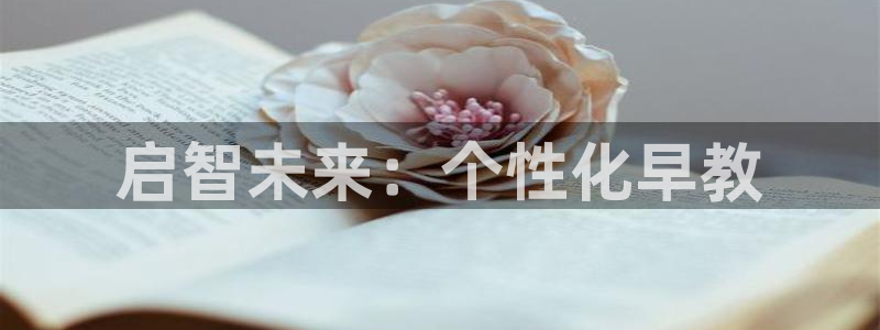 恒行开户全2O5o5O：启智未来：个性化早教