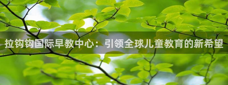 恒行2乃5O6917：拉钩钩国际早教中心：引领全球儿童教育的新希望