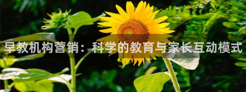 恒行2褚74OOO5：早教机构营销：科学的教育与家长互动模式