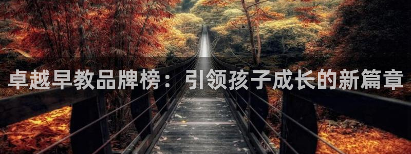 恒行2许74OOO5：卓越早教品牌榜：引领孩子成长的新篇章