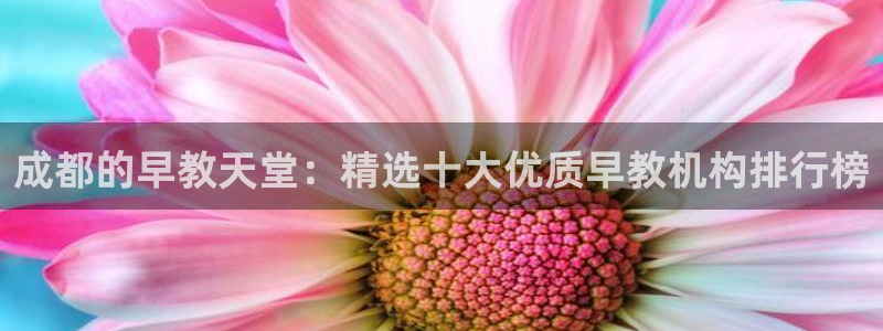 恒行娱乐5ll533主管优雅：成都的早教天堂：精选十大优质早教机构排行榜