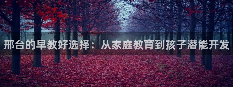 恒行娱乐景74ooo5诿抢：邢台的早教好选择：从家庭教育到孩子潜能开发
