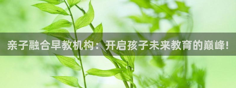 恒行娱乐掌74ooo5呀蚕：亲子融合早教机构：开启孩子未来教育的巅峰!