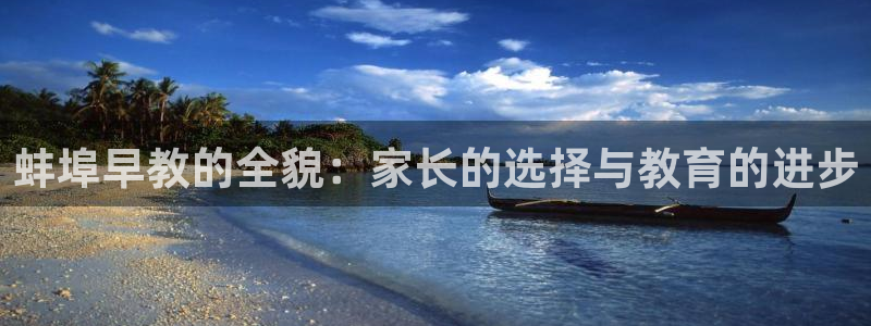 恒行2吴74OOO5：蚌埠早教的全貌：家长的选择与教育的进步