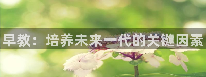 恒行2下74OOO5：早教：培养未来一代的关键因素