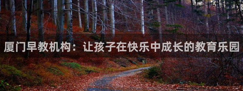 恒在5行中代表什么数字：厦门早教机构：让孩子在快乐中成长的教育乐园