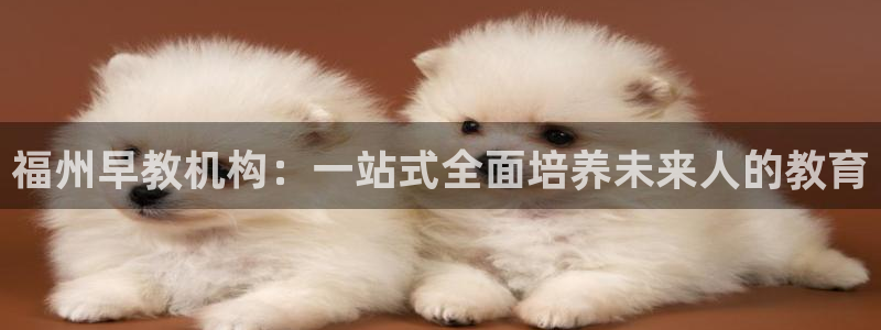 恒行5：福州早教机构：一站式全面培养未来人的教育