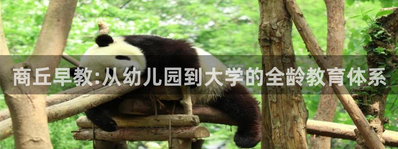 恒行娱乐度74ooo5聘霖：商丘早教:从幼儿园到大学的全龄教育体系