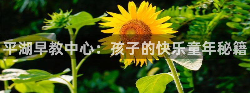 恒行娱乐芍皇74ooo5蛹