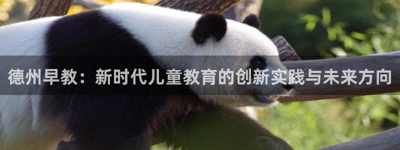 恒行娱乐冯74OOO5：德州早教：新时代儿童教育的创新实践与未来方向