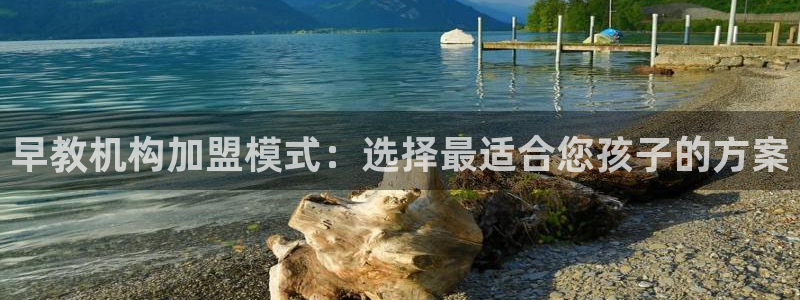 恒行2韩74OOO5：早教机构加盟模式：选择最适合您孩子的方案