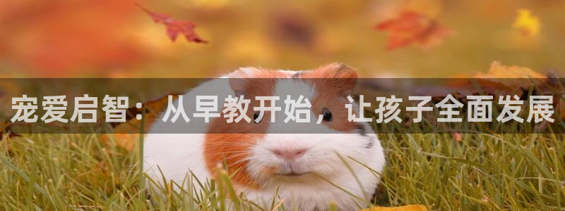 恒行2吴74OOO5：宠爱启智：从早教开始，让孩子全面发展