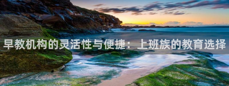 恒行2韩74OOO5：早教机构的灵活性与便捷：上班族的教育选择