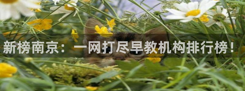 恒行娱乐登录信用 74ooo5：新榜南京：一网打尽早教机构排行榜！