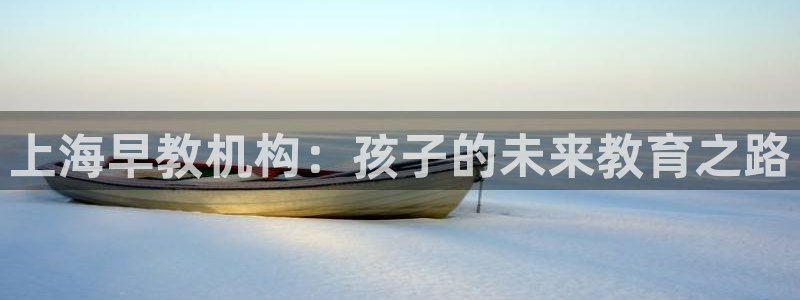 恒行2陈74OOO5：上海早教机构：孩子的未来教育之路