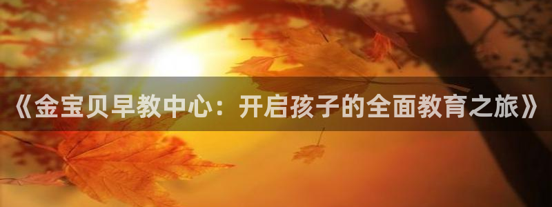 恒行2郑74OOO5：《金宝贝早教中心：开启孩子的全面教育之旅》