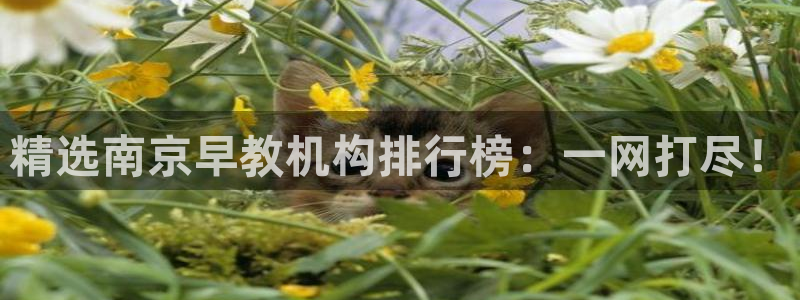 恒行2郑74OOO5：精选南京早教机构排行榜：一网打尽！