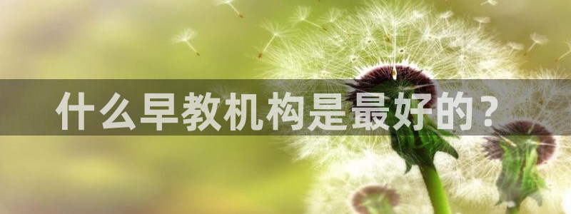 恒行2杨74OOO5:什么早教机构是最好的?