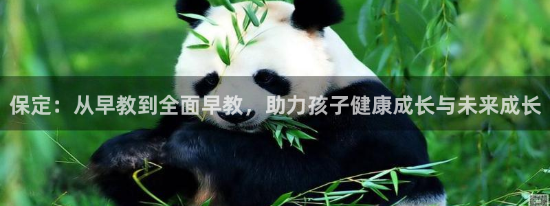 恒行开户娱乐赞议6ll5l:保定:从早教到全面早教,助力孩子健康成长与未来成长