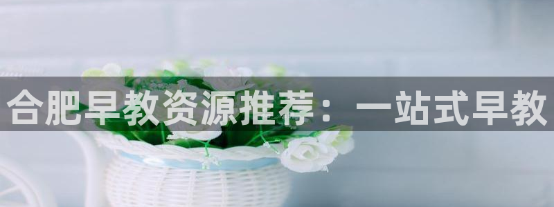 恒指5行情 如来再我心：合肥早教资源推荐：一站式早教