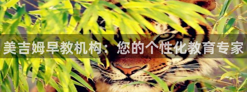 恒行2冯74OOO5：美吉姆早教机构：您的个性化教育专家