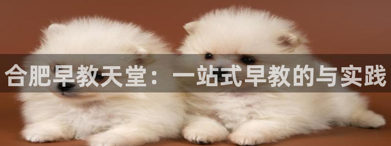 恒行2杨74OOO5：合肥早教天堂：一站式早教的与实践