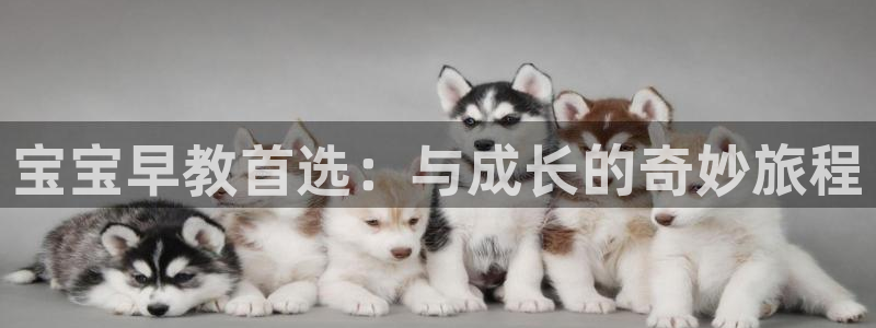 恒行娱乐冯74OOO5:宝宝早教首选:与成长的奇妙旅程