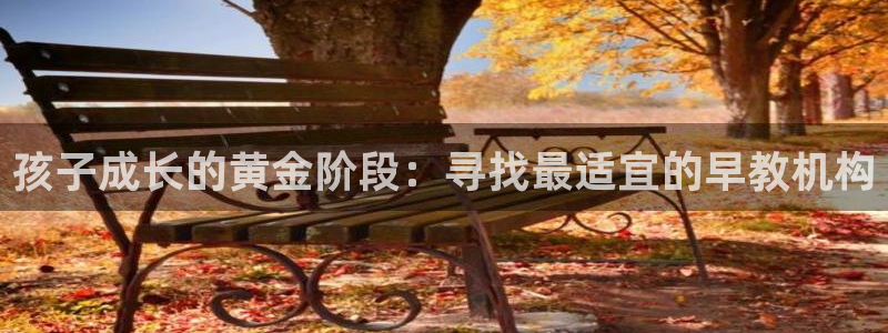 恒行5：孩子成长的黄金阶段：寻找最适宜的早教机构