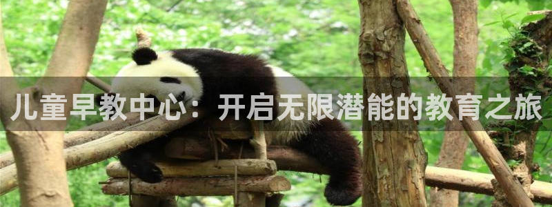 恒行2陈74OOO5：儿童早教中心：开启无限潜能的教育之旅