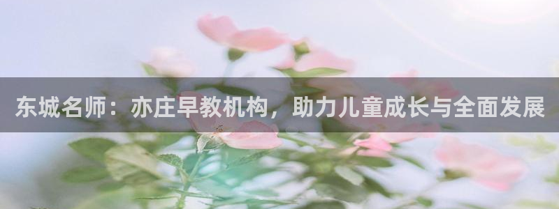 恒行主管总代6ll5l周至：东城名师：亦庄早教机构，助力儿童成长与全面发展