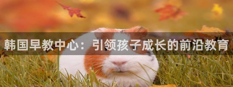 恒行代理总代主导 6ll5l：韩国早教中心：引领孩子成长的前沿教育