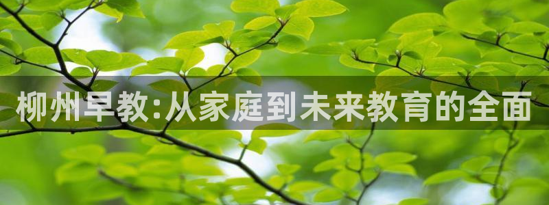 恒行娱乐掌74ooo5呀蚕：柳州早教:从家庭到未来教育的全面