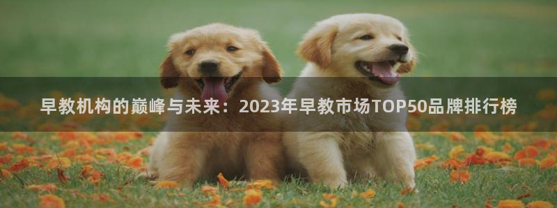恒行2吕74OOO5：早教机构的巅峰与未来：2023年早教市场TOP50品牌排行