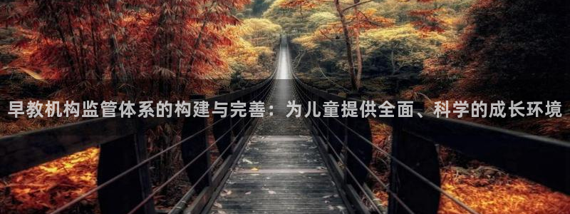 恒行娱乐5ll533主管耐心：早教机构监管体系的构建与完善：为儿童提供全面、科学