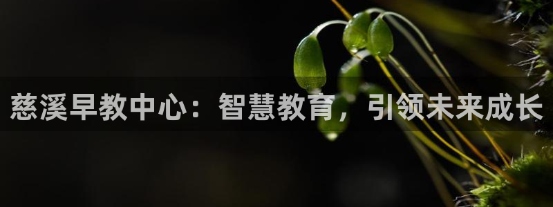 恒行娱乐登录5ll533主管一流:慈溪早教中心:智慧教育,引领未来成长