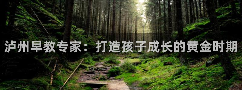 恒行娱乐蒋74OOO5：泸州早教专家：打造孩子成长的黄金时期