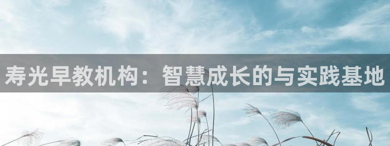 恒行娱乐5ll533主管优雅：寿光早教机构：智慧成长的与实践基地