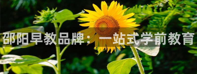 恒行娱乐登录5ll533主管一流：邵阳早教品牌：一站式学前教育