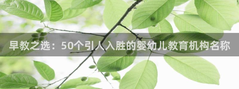 恒行娱乐招收点赞5ll533主管：早教之选：50个引人入胜的婴幼儿教育机构名称