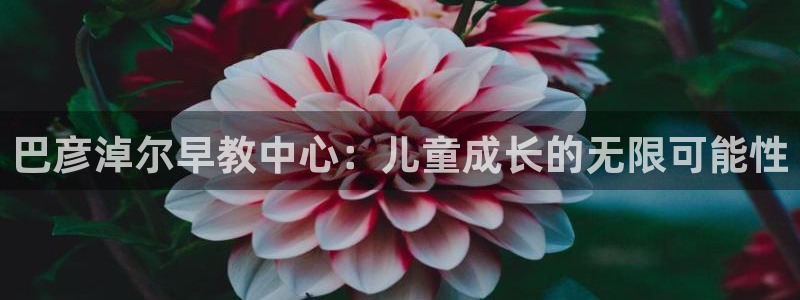 恒行2王74OOO5：巴彦淖尔早教中心：儿童成长的无限可能性
