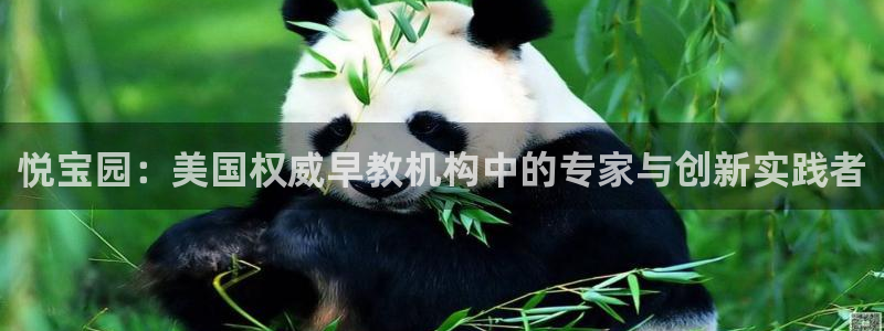 恒行娱乐郑74OOO5：悦宝园：美国权威早教机构中的专家与创新实践者