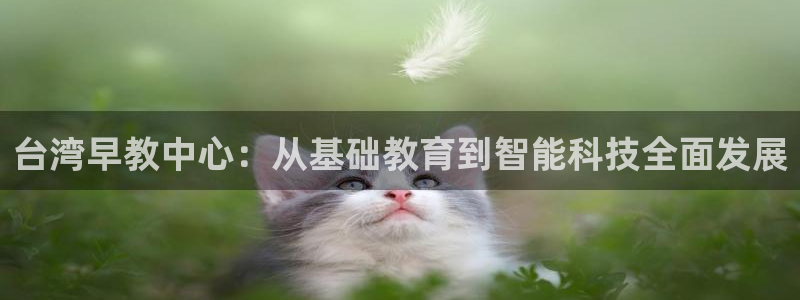 恒行娱乐老板推荐5ll533主管：台湾早教中心：从基础教育到智能科技全面发展