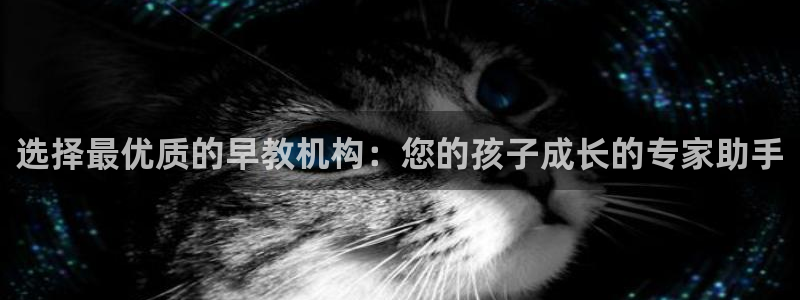 恒行2乃5O6917：选择最优质的早教机构：您的孩子成长的专家助手