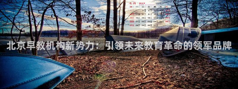 恒行2卫74OOO5：北京早教机构新势力：引领未来教育革命的领军品牌