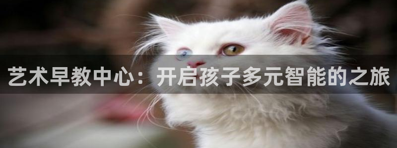 恒行娱乐寻问74 5：艺术早教中心：开启孩子多元智能的之旅