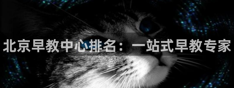 恒行娱乐见5ll533主管：北京早教中心排名：一站式早教专家