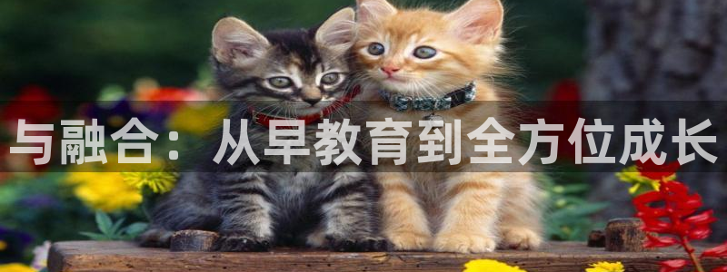 恒行娱乐5ll533主管正直：与融合：从早教育到全方位成长