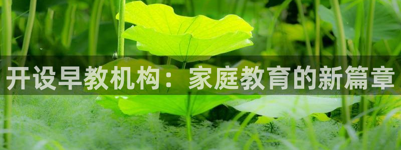 恒行2沈74OOO5：开设早教机构：家庭教育的新篇章