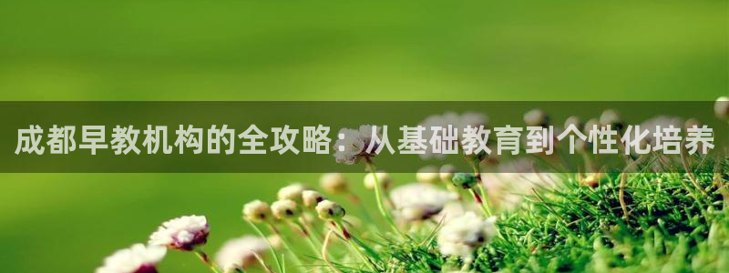 恒行娱乐卫74OOO5：成都早教机构的全攻略：从基础教育到个性化培养