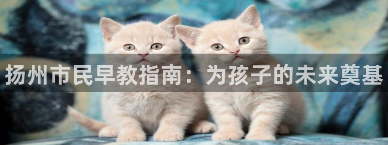 恒行主管首问6ll5l：扬州市民早教指南：为孩子的未来奠基